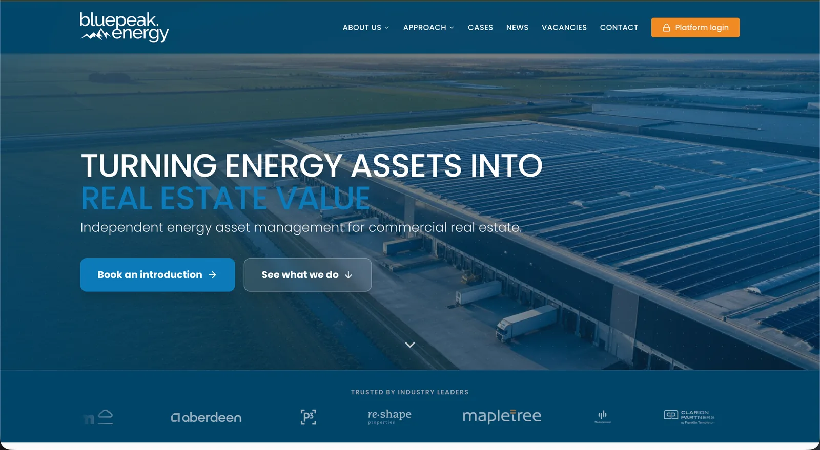 Bluepeak Energy